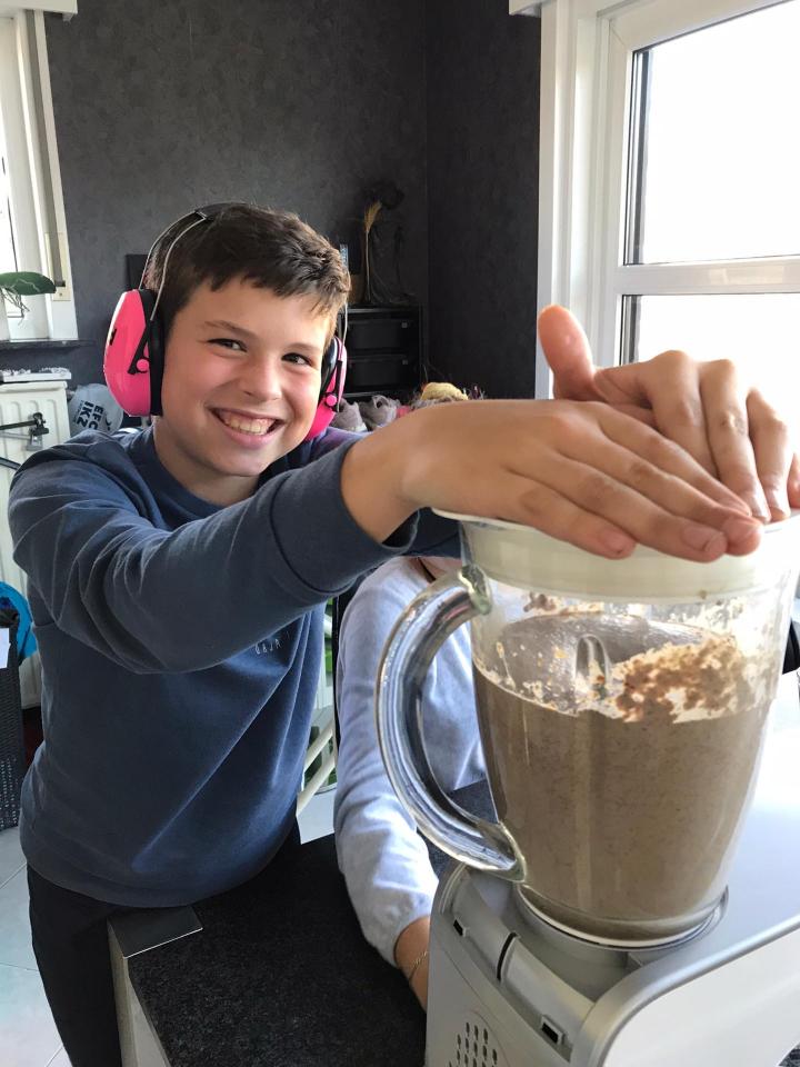 Oogst en verwerking van de meelwormen